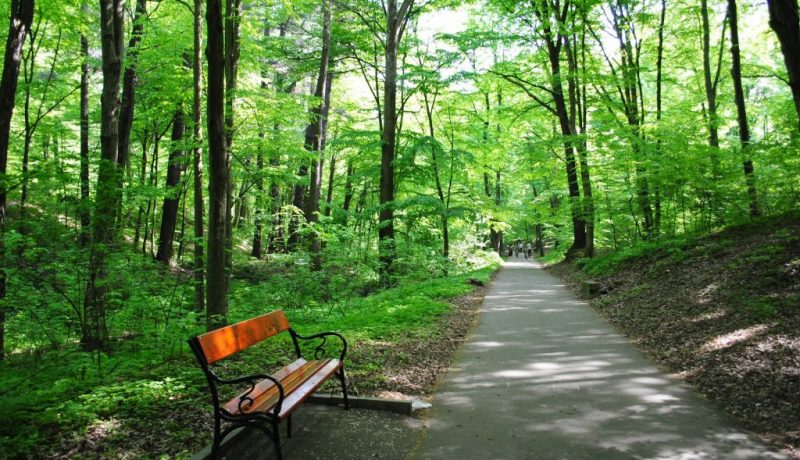 Pitesti - Padurea Trivale