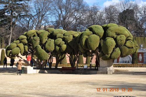 Madrid Retiro Park