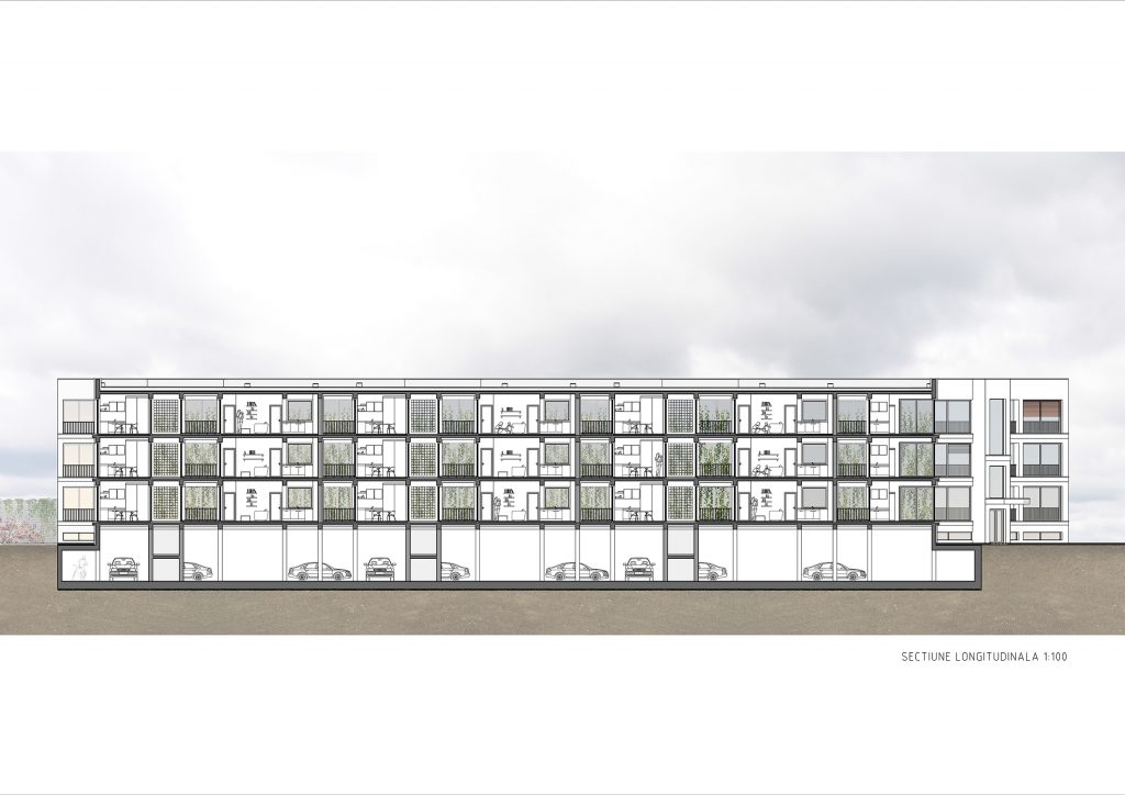 Sectiune longitudinala